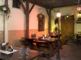 U Zlate Podkovy Apartamento Praga